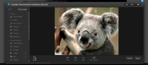 adobe photoshop express editor online photo editing tool