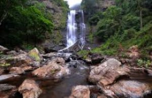 pre-wedding-shoot-chikmagalur