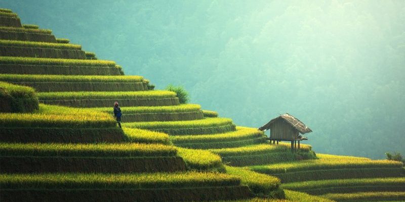 Make Your Garden A Fashion Statement – Photopedia Tour Guide